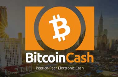 Bitcoin Cash Celebrates Anniversary With 687,000 Transactions