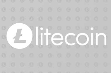 Litecoin Halving Event Sparks Social Engagement and Price Speculations