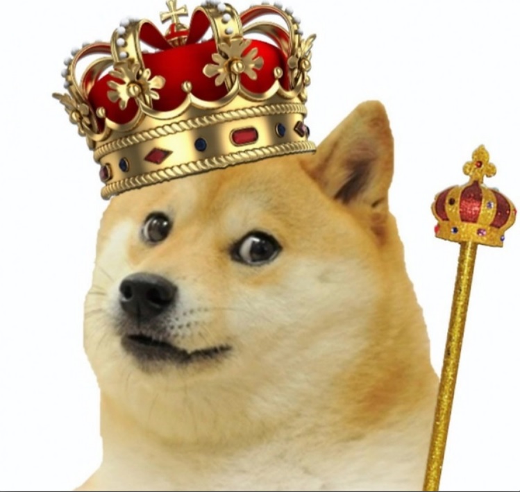 doge crypto where to buy