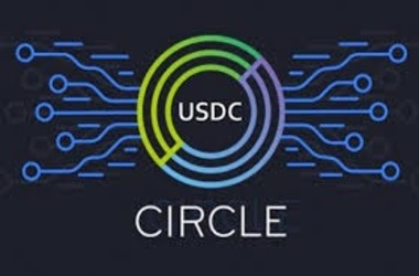 Stablecoin USDC Popularity Increases as Transaction Volume Surges