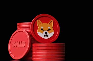 Shiba Inu's Ambitious Leap: SHIB Name Tokens Reshaping Web3 Identities