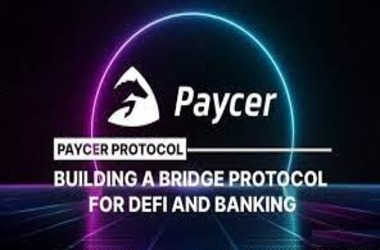 Germany’s Paycer to Integrate DeFi and Crypto with Conventional Banking Services
