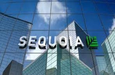 Polygon Blockchain Gets $450mln Investment from Sequoia