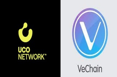 UCO Chooses VeChain Blockchain to Track Used Cooking Oil
