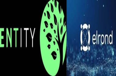 Entity Uses Elrond Blockchain to Unveils its DeFi Services