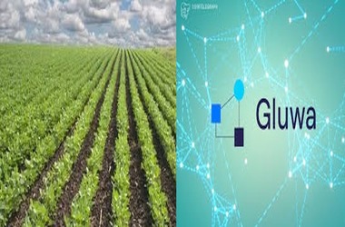Nigeria Bets on Gluwa blockchain for Improving Agricultural Sector