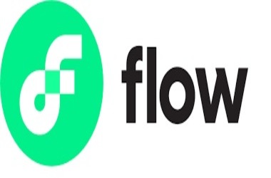 Flow Blockchain Records Sharp Dip in Transaction Volumes