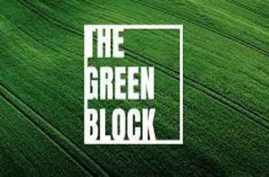 The Green Block: UAE-based Crypto Oasis Ventures and Roland Berger Launch Web3 Initiative for Sustainable Development