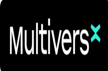 MultiversX Integrates with Google BigQuery