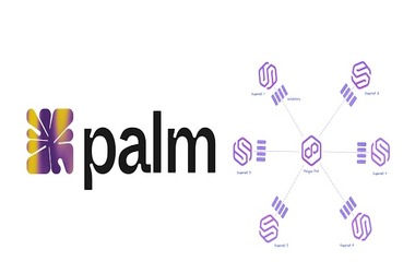 Palm Network Strengthens Collaboration with Polygon, Introduces NFT Creator Roadmap