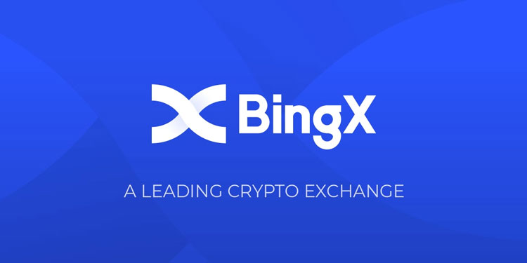 BingX Launches 