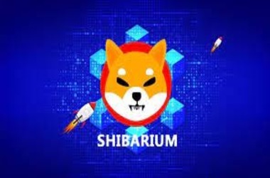 Shibarium’s Resurgence: Scaling Heights in DeFi with $1M Total Value Locked