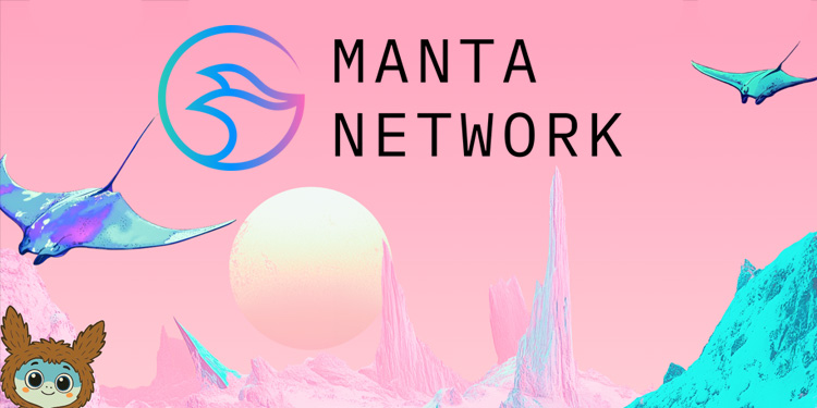 manta network