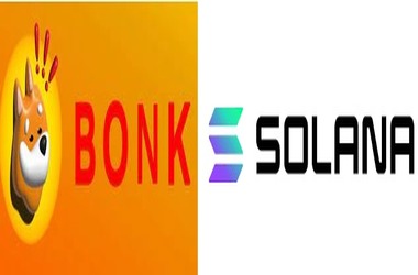 BONK Token Frenzy: Solana Saga Phones Transform from Flop to Phenomenon