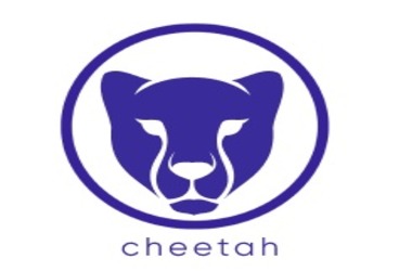Cheetah Launches Web3 Payment Network for Intra-Africa Transactions