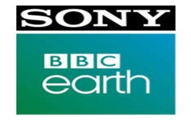Sony BBC Earth Unveils Metaverse Innovation for Immersive Wildlife Experiences