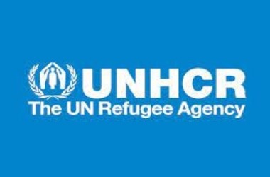 UN Refugee Agency Explores Blockchain for Secure Digital IDs Amidst Risks