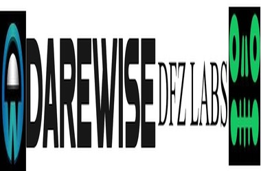 Darewise Entertainment and DFZ Labs Join Forces