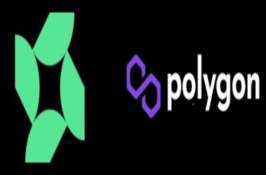 Powering Web3: Powerloom Protocol and Polygon Network Forge Transformative Partnership
