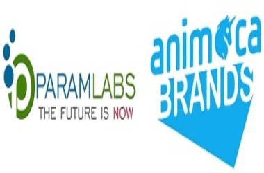 Param Labs and Animoca Brands Forge Strategic Partnership in Web3 Gaming Revolution