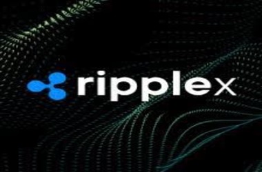 RippleX Resolves Technical Hurdle in XRP Ledger AMM, Ensuring Optimal Functionality