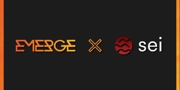 EMERGE Group partners with Sei