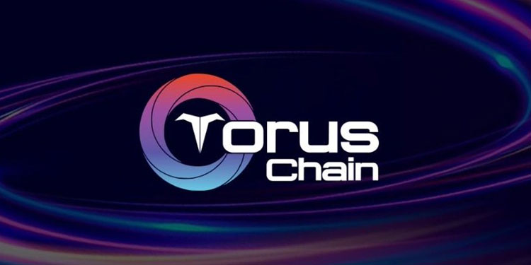 Toruschain Blockchain Network