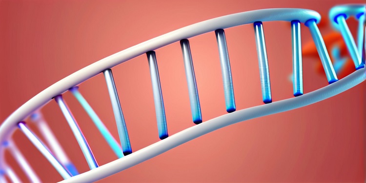 dna fund core capital acquisition