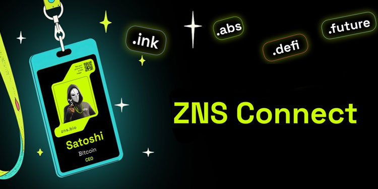 ZNS Connect