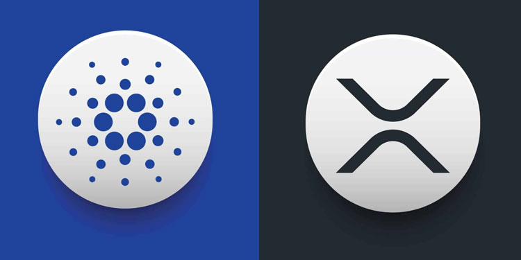 cardano and ripple explore collaboration for rlusd expansion