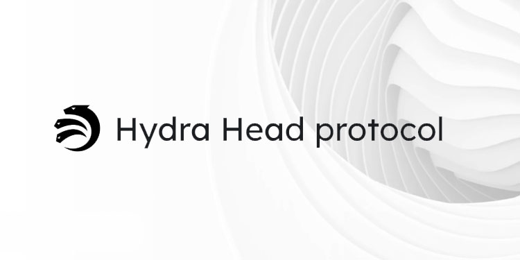 Hydra Head Protocol