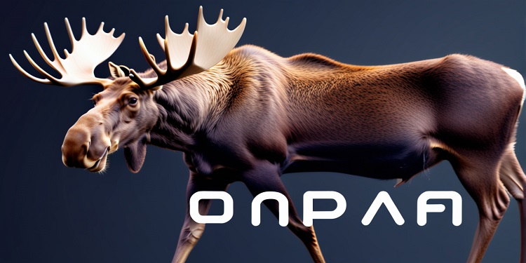 step finance moose capital acquisition