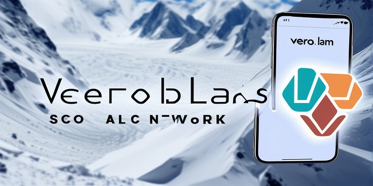 vero labs avalanche partnership