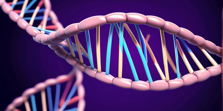 dna holdings launches fund to propel ai and web3 integration