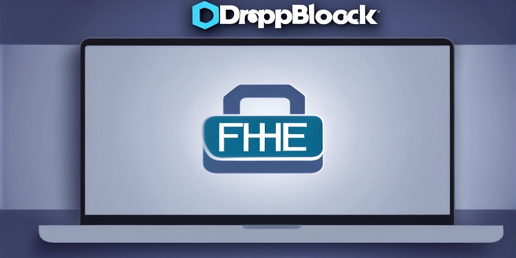 dropblock.online introduces secure web3 storage with fhe encryption