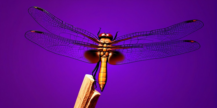 into and dragonfly forge alliance to expand web3 access