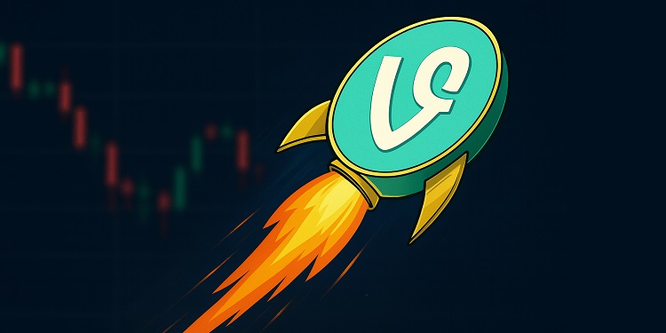 Vine Coin Markets
