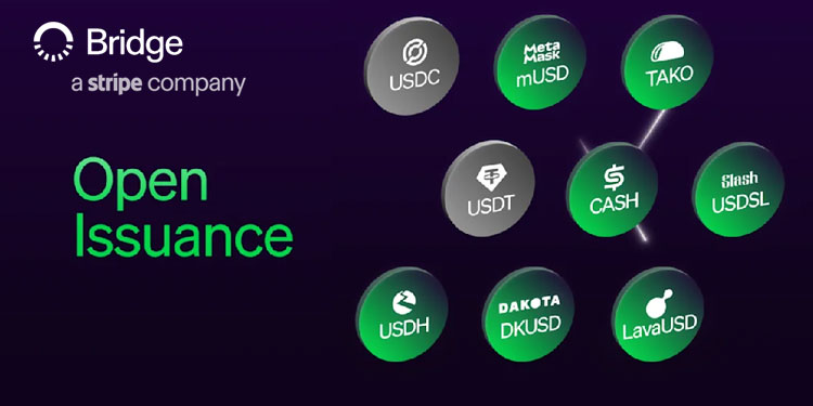 Open Insurance from Bridge