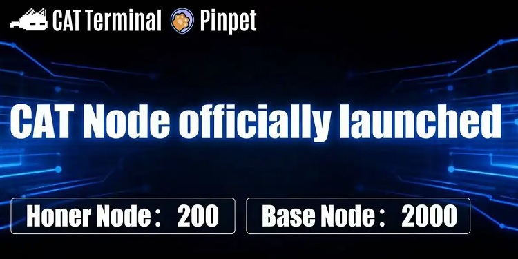 cat terminal partners with pinpet to unveil cat node