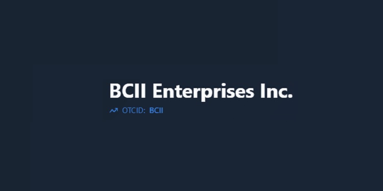 bcii enterprises
