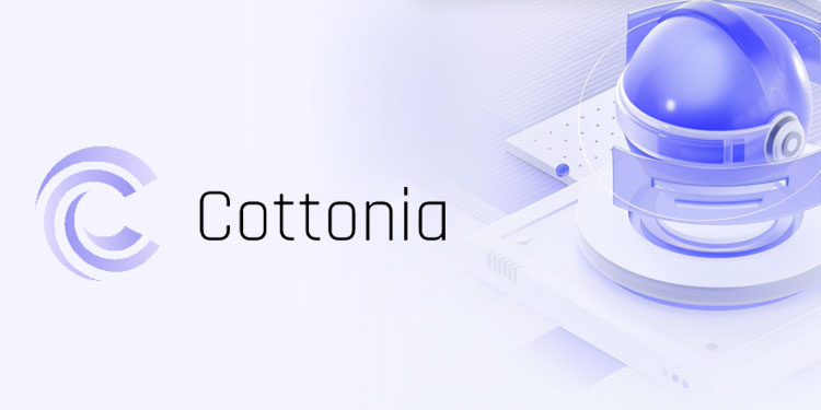 cottonia