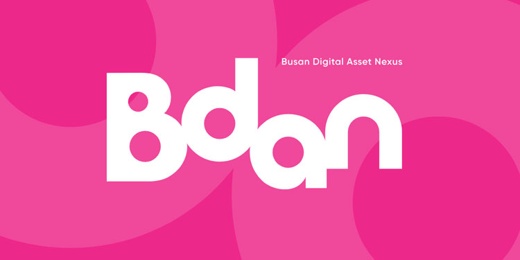 Busan Digital Asset Nexus (BIDAN)