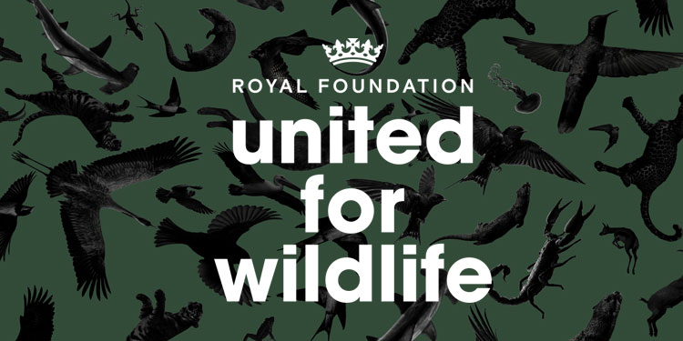 United for Wildlife