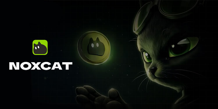 noxcat