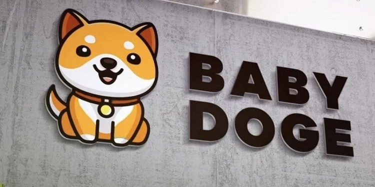 baby doge